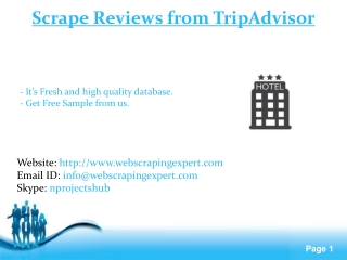 Scrape Reviews from TripAdvisor
