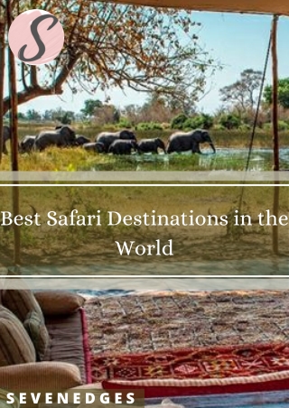 Best Safari Destinations in the World