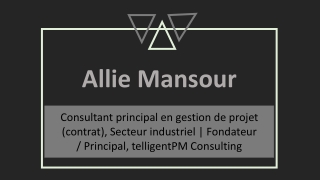 Allie Mansour - Professionnel dynamique et très dévoué