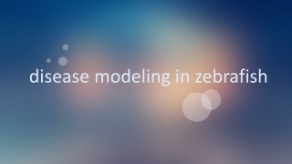 disease modeling in zebrafish