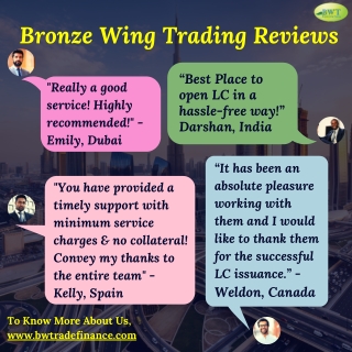 Infographics – Bronze Wing Trading Reviews – Our Clients Feedback