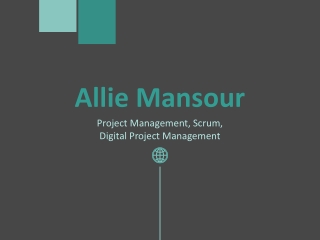 Allie Mansour - A Resourceful Professional From Montréal, Canada