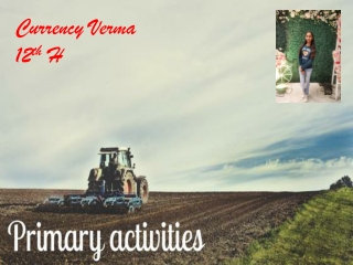 primary activities