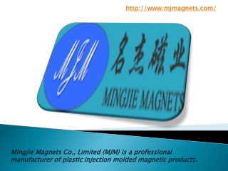 Famous manufacturer of Injection Molded Magnets