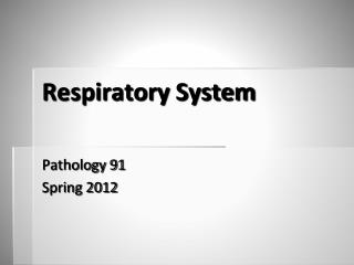 Respiratory System