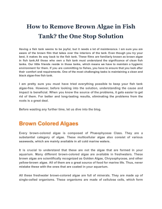 How to Remove Brown Algae in Fish Tank? the One Stop Solution