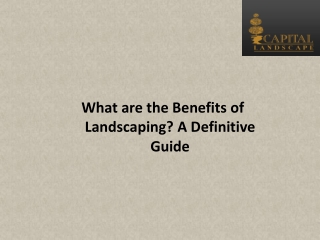 What are the Benefits of Landscaping A Definitive Guide