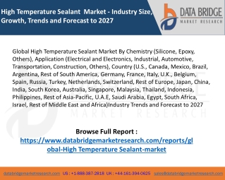 Market Analysis and Insights: Global High Temperature Sealant Market