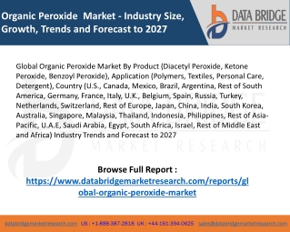 Market Analysis and Insights: Global Organic Peroxide Market