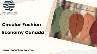 Circular Fashion Economy Canada | Modacircolare.com