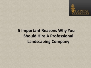 5 Important Reasons Why You Should Hire A Professional Landscaping Company