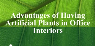 Advantages of Having Artificial Plants in Office Interiors