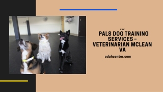 PALS Dog Training Services in McLean VA