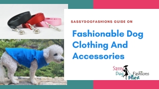 Fashionable Dog Clothing And Accessories