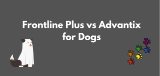 Frontline Plus vs Advantix for Dogs