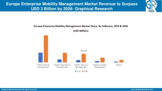 Europe Enterprise Mobility Management Market