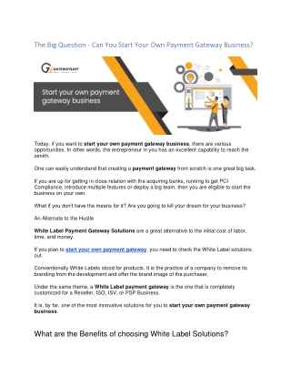 The Big Question - Can You Start Your Own Payment Gateway Business