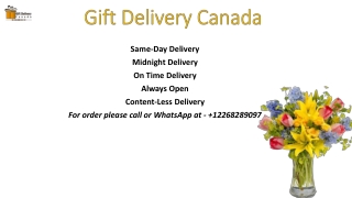 Gift Delivery Canada- Tulips