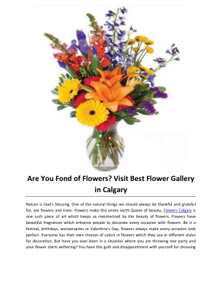Are You Fond of Flowers Visit Best Flower Gallery in Calgary