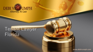 Tenant Lawyer Florida