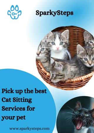 Pick up the best Cat Sitting Services for your pet