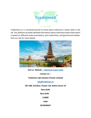 Indonesia Import Data  Tradeimex.in