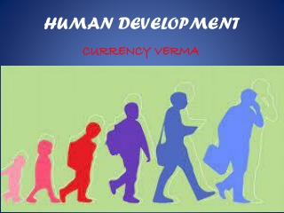 HUMAN DEVELOPMENT CLASS 12