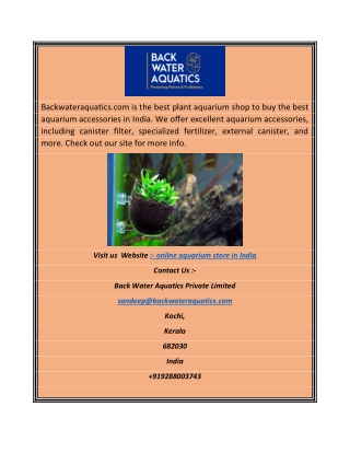 Online Aquarium Store in India  Backwateraquatics