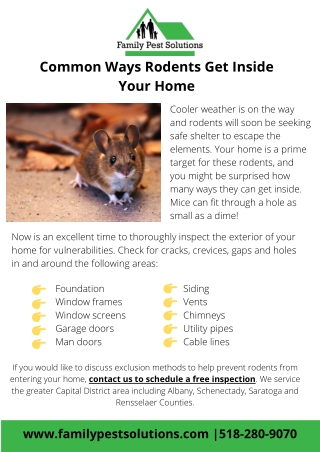 Common Ways Rodents Get Inside Your Home