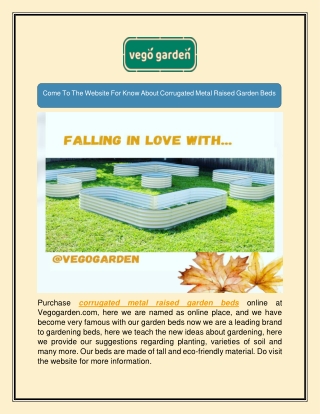 Come To The Website For Know About Corrugated Metal Raised Garden Beds