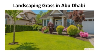 Landscaping Grass in Abu Dhabi
