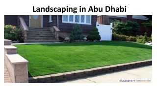 Landscaping Grass Abu Dhabi