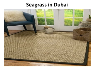 Seagrass in Dubai