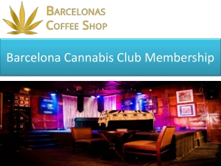 Barcelona Cannabis Club Membership