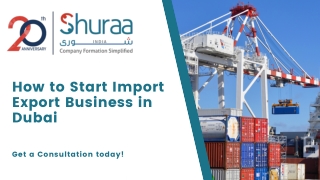 How to Start Import Export Business in Dubai