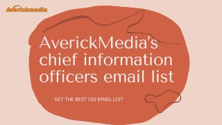 AverickMedia’s chief information officers email list