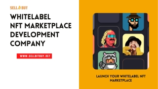 Whitelabel NFT Marketplace Development Company