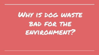 Why Is Dog Waste Bad For The Environment?