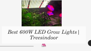 Best 600W LED Grow Lights Treesindoor