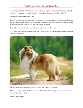 Find Your Perfect Dog in Right Way