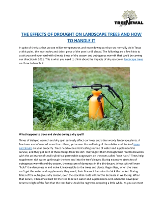 THE EFFECTS OF DROUGHT ON LANDSCAPE TREES AND HOW TO HANDLE IT