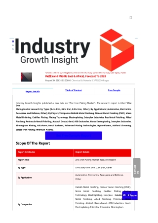 Zinc Iron Plating Market Report | Global Forecast To 2028