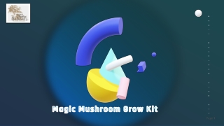 Morel Mushroom Spores Growing Kit - Start Growing Morel Mushrooms