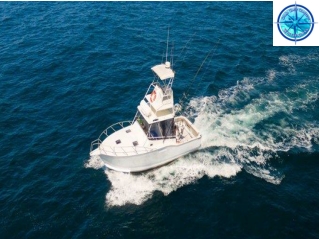 Half Day Fishing Charters