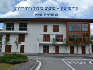 תריסי עץ – עיצוב בידוד וייחודיות בנשימה אחת