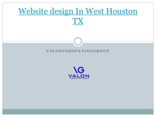 Website design In West Houston TX