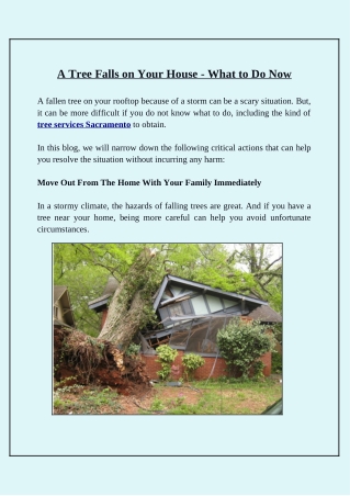 Tips for Dealing With a Tree That Has Fallen on Your House?