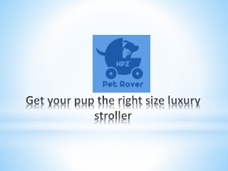 Get your pup the right size luxury stroller