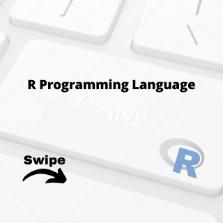 R Programming Language