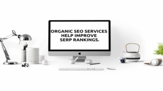 Organic SEO Services Improve SERP Rankings